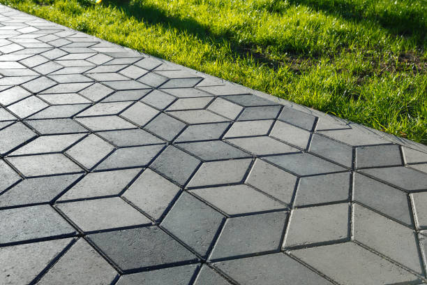 Best Professional Driveway Pavers  in Kodi, AK